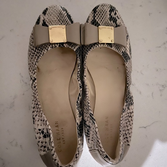 Snake Print Ballet Flats - Picture 3 of 3